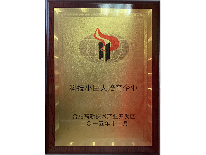 科技小巨人