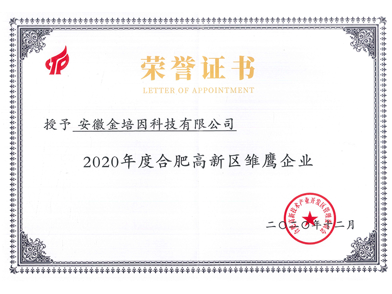 雛鷹企業(yè)